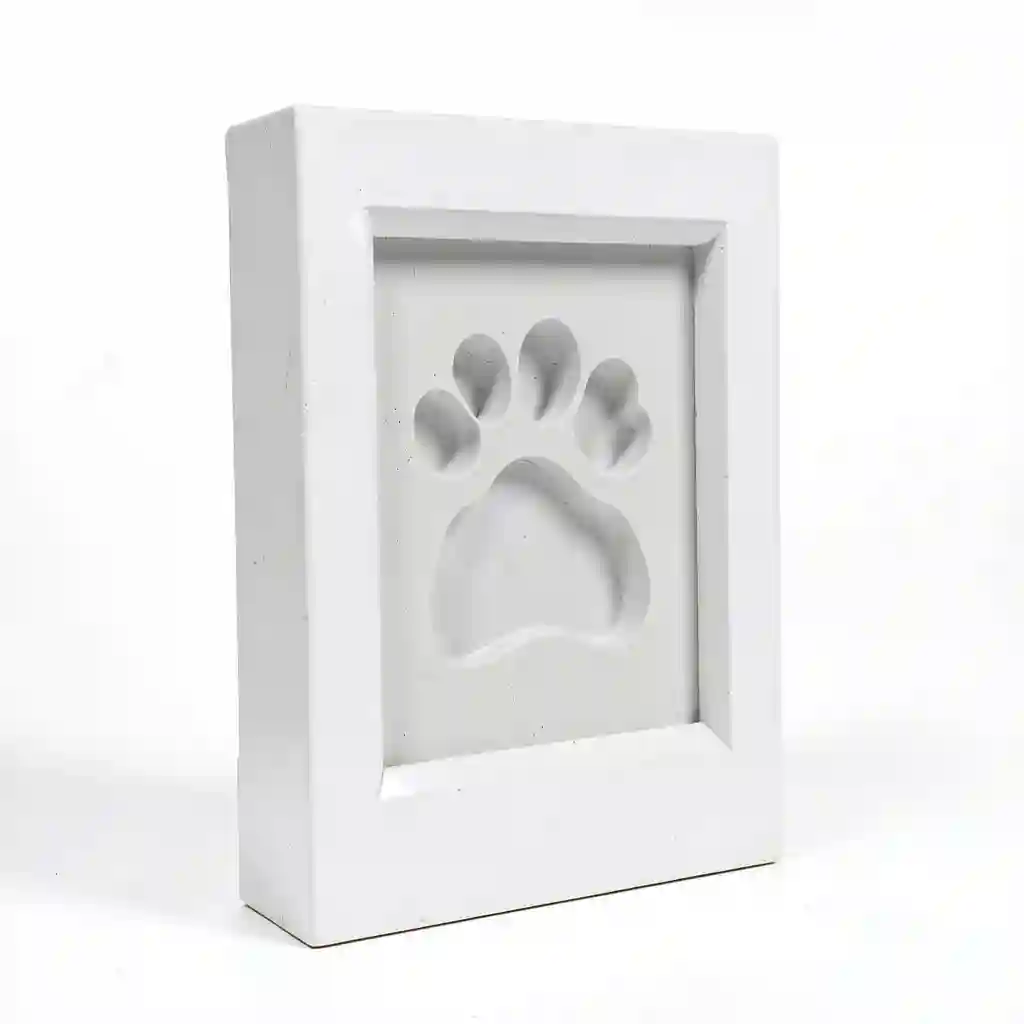 Paw_Shadow_Frame_Form