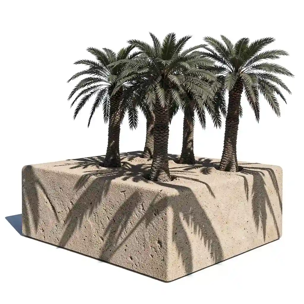 Tropical_Palm_Shadow_Display_001.webp